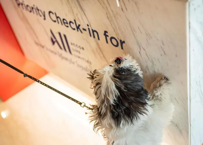 Family Hotel: Ibis Chennai Sipcot - An Accor Brand